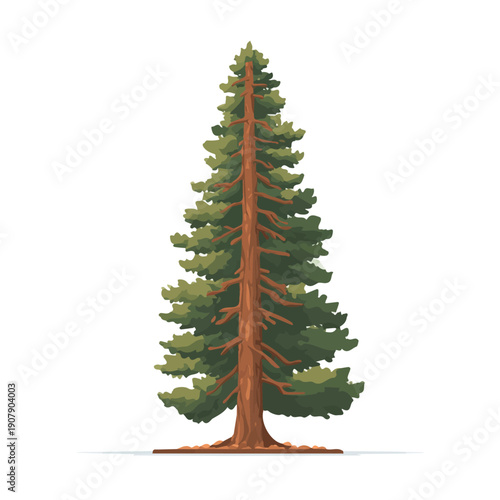 Redwood Tree illustrated in a clean 2D flat vector style, minimal and modern, isolated on a white background.