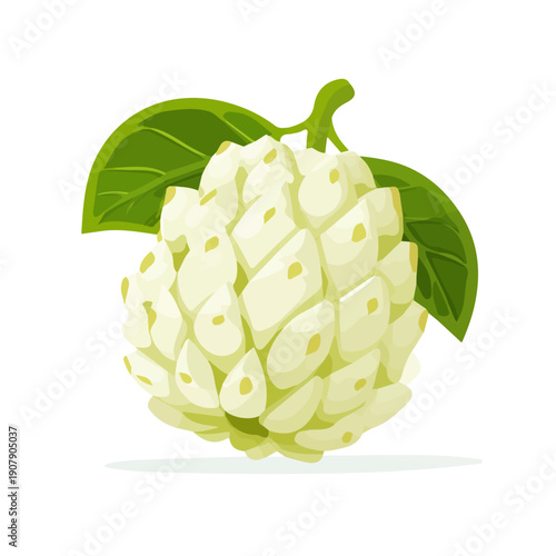 Custard Apple, 2D flat vector illustration, simple and modern style, isolated on a plain white background.