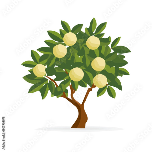 Simple flat 2D vector graphic of Macadamia Tree, modern icon look, displayed on a pure white background.