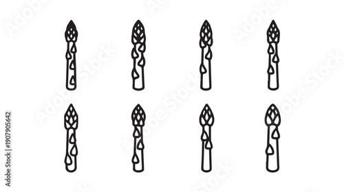 Asparagus Stalks Pattern Line Drawing Simple Food Illustration