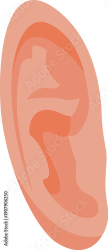 Anatomically correct illustration of a human ear, highlighting key external structures
