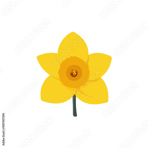 Modern flat 2D vector illustration of Daffodil, clean and minimal design, isolated on white background.