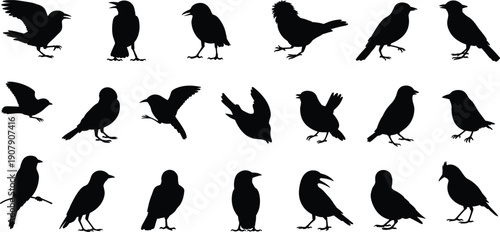 Female character anatomy reference sheet showing front side and back views of athletic woman in sports bra and grey underwear