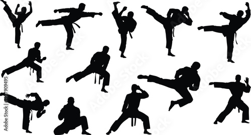 Set of martial arts silhouettes featuring karate and taekwondo fighters performing high kicks, powerful punches, and various combat sports poses. (Exactly 20 words)