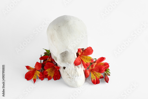 Human skull with beautiful ...