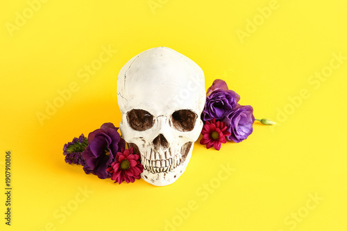 Human skull with beautiful ...