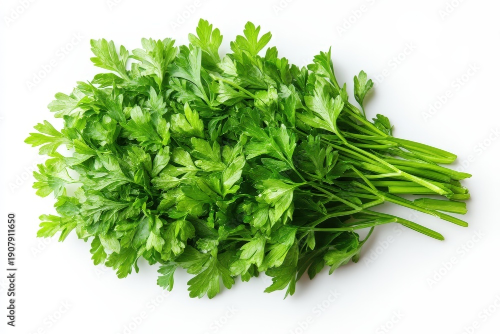 Obraz premium Fresh Parsley Bunch