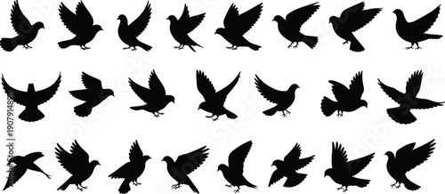 Collection of black pigeon silhouettes featuring birds in flight and various wings spread positions isolated on white background vector art