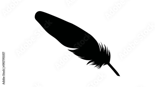 A monochrome illustration of a bird's feather against a white backdrop, tilted down right