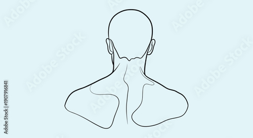 Simple line drawing illustration of a person's back, neck, and shoulders viewed from behind on a light blue background for anatomy.