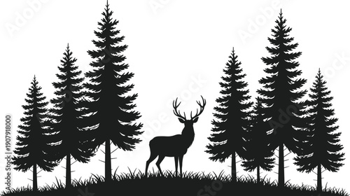 Black silhouette of a majestic male deer with antlers standing in a pine forest with evergreen trees and grass meadow