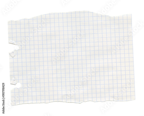 White grid checkered notebook journal paper piece. Blank math sheet of  paper. Realistic collage scrapbook texture background.
