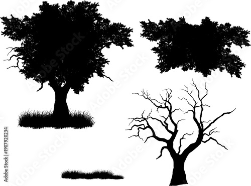 Set of realistic tree silhouettes isolated on white background. Detailed black vector shadows of oak, dead trees, grass, and bushes for landscape design and architectural visualization.
