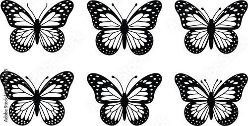 Six black and white patterned butterfly illustrations in a grid insect nature