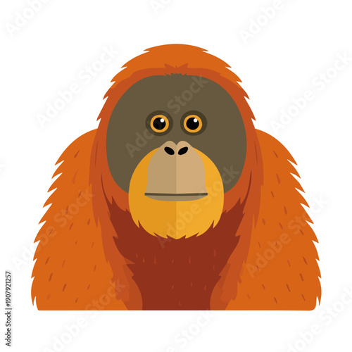Orangutan, modern 2D flat vector illustration in icon style, isolated on pure white background.