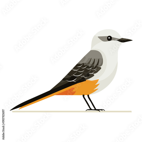 Tableau sur toile Modern flat 2D vector illustration of Scissor-tailed Flycatcher, clean and minimal design, isolated on white background