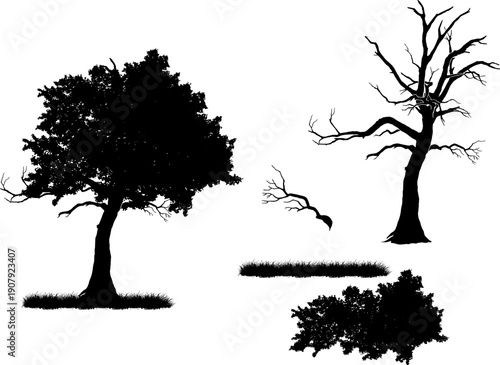 Set of realistic tree silhouettes isolated on white background. Detailed black vector shadows of oak, dead trees, grass, and bushes for landscape design and architectural visualization.