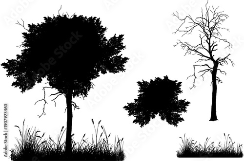 Set of realistic tree silhouettes isolated on white background. Detailed black vector shadows of oak, dead trees, grass, and bushes for landscape design and architectural visualization.