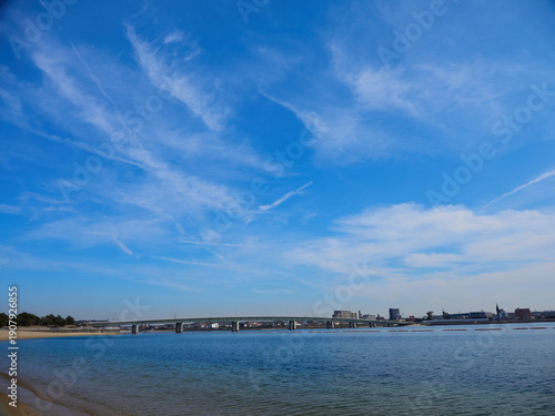 Wallpaper Mural 愛知県の観光名所新舞子マリンパークのビーチと周辺の住宅地の風景 Torontodigital.ca