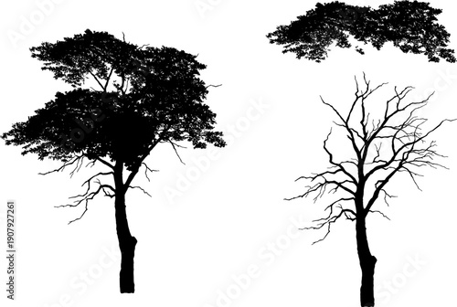 Set of realistic tree silhouettes isolated on white background. Detailed black vector shadows of oak, dead trees, grass, and bushes for landscape design and architectural visualization.