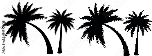 Two silhouetted palm trees with curved trunks on transparent background