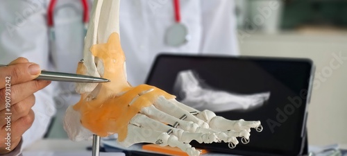 Wallpaper Mural Orthopedic doctor show x-ray radiography on tablet. Fracture of the leg or foot Torontodigital.ca