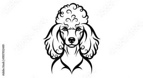 Elegant vector illustration of a poodle dog portrait in black and white