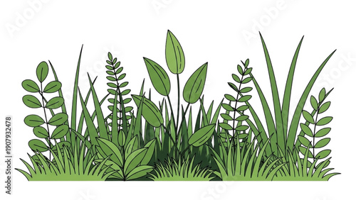 Illustration of diverse green plants and foliage in a landscape arrangement from a frontal viewpoint