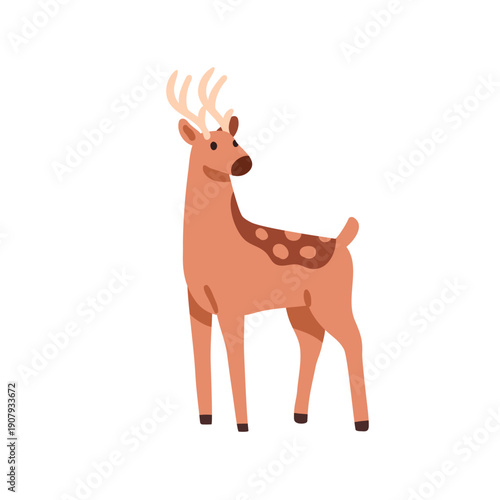 Bambi deer. Cute wild animal with antlers. Little adorable fawn, north forest wildlife. Nordic reindeer cub with horns, spots. Flat vector illustration isolated on white background