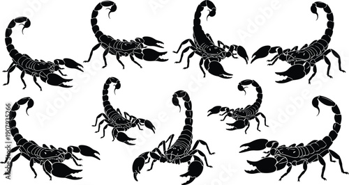 Black, scorpion, silhouette, set, isolated, on, white, background, stinging, arachnid, icons, vector, illustration, predator, desert, animal, toxic, venomous, dangerous, wildlife, collection, graphic