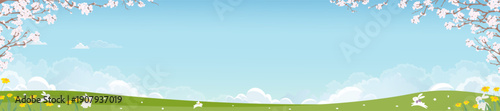 Spring landscape,bunny playing on green field with cherry blossoms border frame,yellow flower,blue sky cloud.Cute animal cartoon for Easter background,kids banner,nature scene,seasonal greeting card