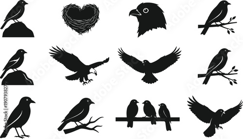Collection of black bird silhouettes featuring eagle flying, ravens perched on branches, and songbirds in nature isolated on white background for wildlife vector design projects.