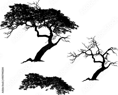Set of realistic tree silhouettes isolated on white background. Detailed black vector shadows of oak, dead trees, grass, and bushes for landscape design and architectural visualization.