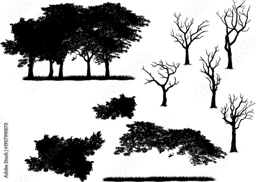 Set of realistic tree silhouettes isolated on white background. Detailed black vector shadows of oak, dead trees, grass, and bushes for landscape design and architectural visualization.