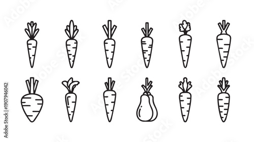 Carrot Icons Collection: Various Styles and One Pear, Vector Line Art