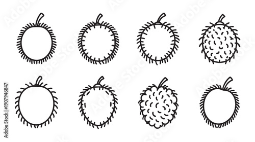 Durian Fruit Icons and Variations Set Outline Vector