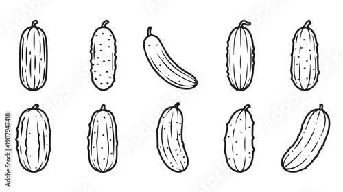 Hand Drawn Cucumber Variety Collection Outline Vector Illustration