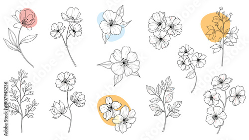 Set of delicate hand drawn floral elements featuring various flowers and branches with soft pastel color accents.