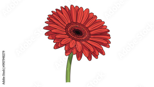 Vibrant red gerbera daisy flower with detailed petals and a green stem perfectly isolated on a plain white background.
