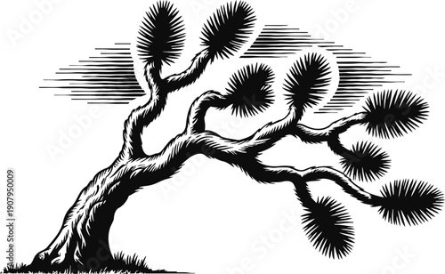 Stylized black and white joshua tree silhouette with textured branches and spiky leaves against lined sky