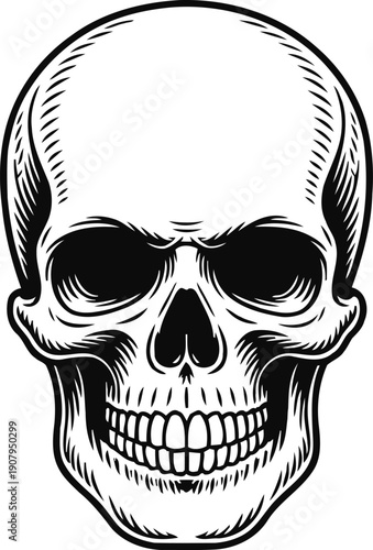Detailed human skull illustration with bold black and white line art style, anatomical and gothic design
