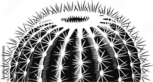 Round cactus silhouette with sharp spines and ribbed body detail in black and white