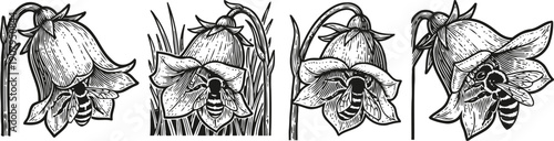 Vintage botanical illustrations of bees pollinating bell shaped flowers in detailed black and white engraving