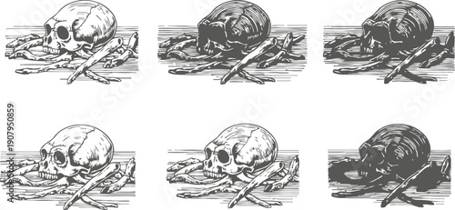 crab with skull head illustration stylized crustacean skeleton in different shading variations graphic art set with spooky sea creature concept