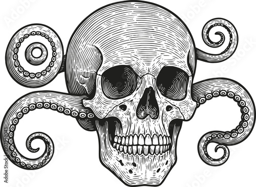 Skull with octopus tentacles illustration vintage anatomical human skull with curling marine octopus arms