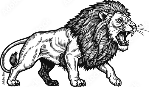 Fierce roaring lion illustration with detailed mane and muscular body in black and white