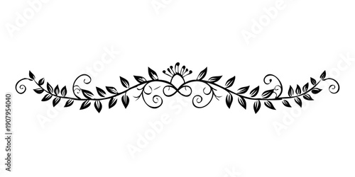 Intricate black and white floral decorative border design
