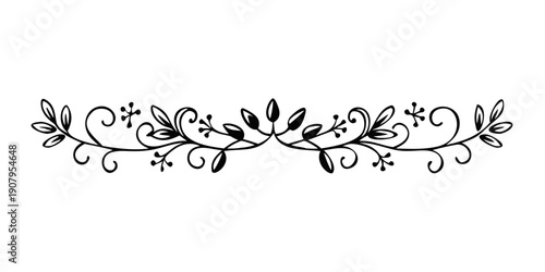 Intricate black and white floral decorative border design