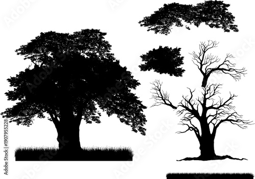 Set of realistic tree silhouettes isolated on white background. Detailed black vector shadows of oak, dead trees, grass, and bushes for landscape design and architectural visualization.