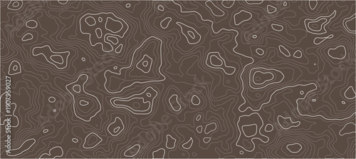 Abstract Contour Pattern Topography Background With Wavy Lines In Sand Tones Texture Graphic or design element for contemporary visuals.